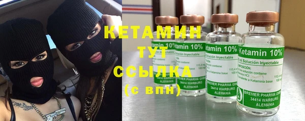 гидра Инта