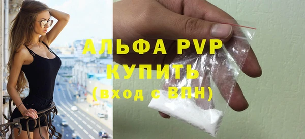 гидра Инта