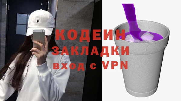 гидра Инта
