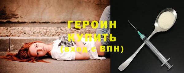 гидра Инта