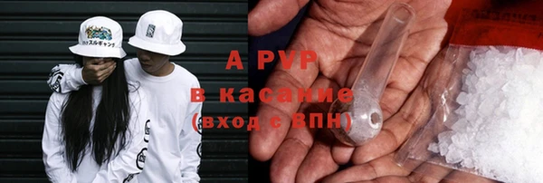 гидра Инта
