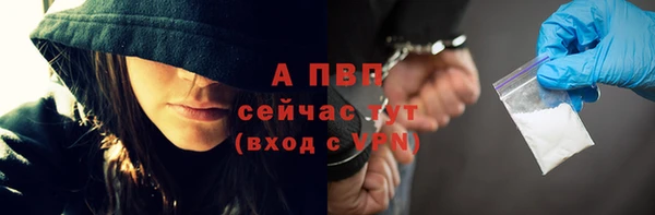 гидра Инта