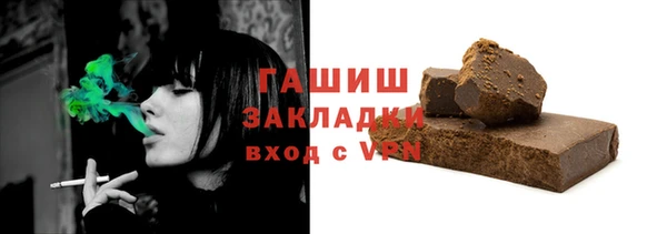 гидра Инта