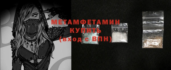 гидра Инта
