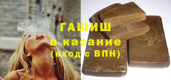 гидра Инта