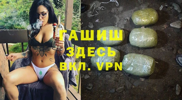гидра Инта