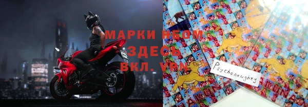 гидра Инта